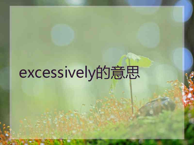 excessively的意思