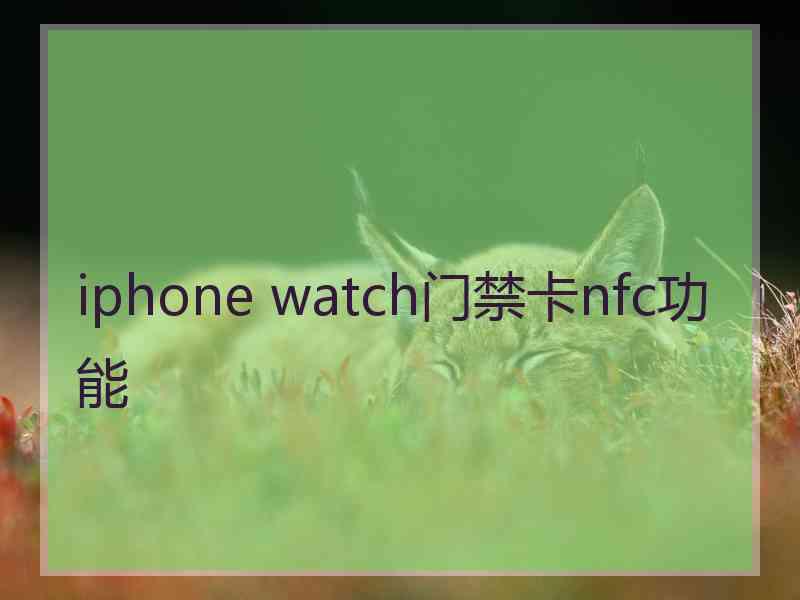 iphone watch门禁卡nfc功能