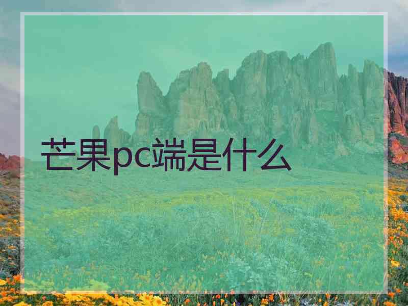 芒果pc端是什么