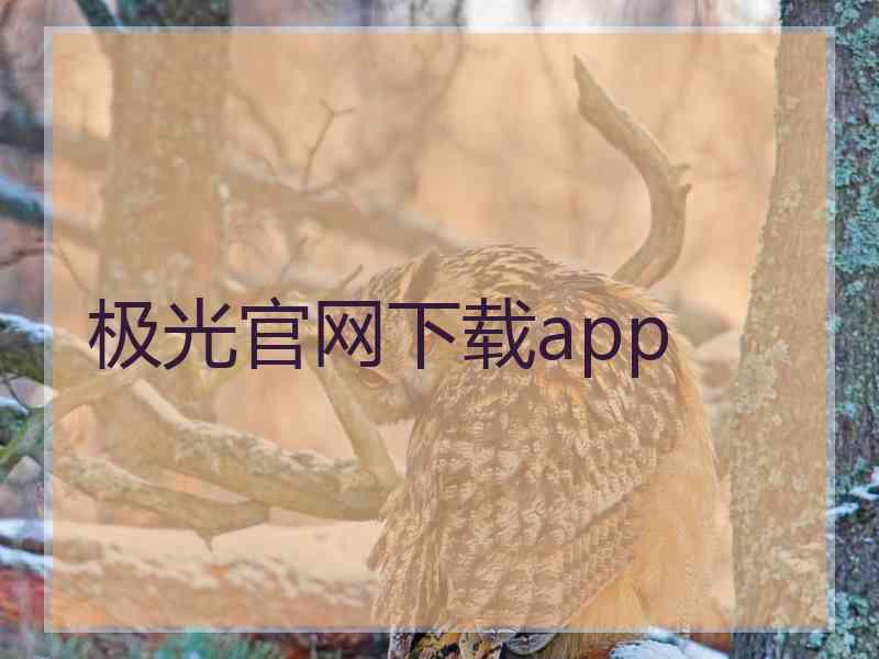 极光官网下载app