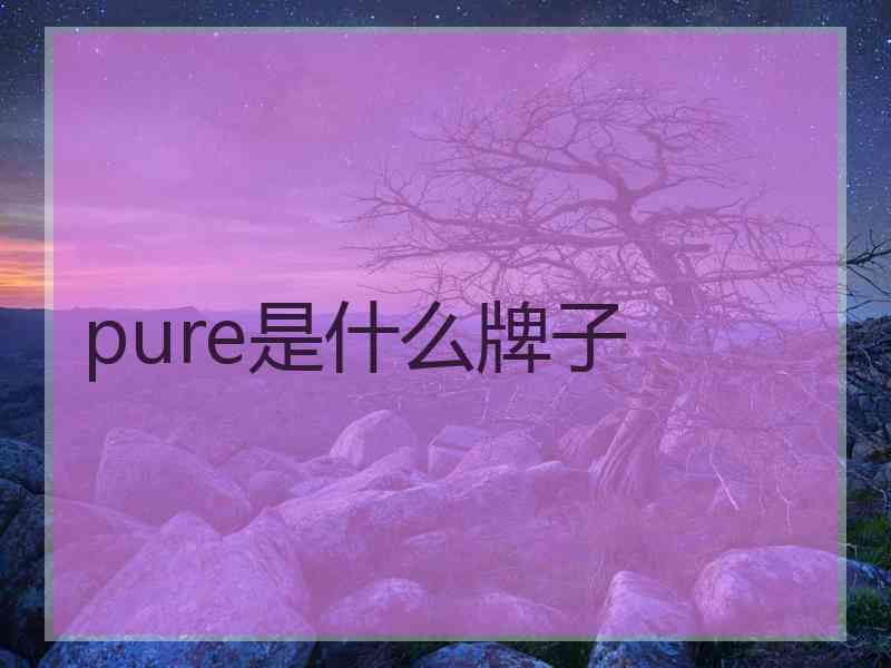 pure是什么牌子