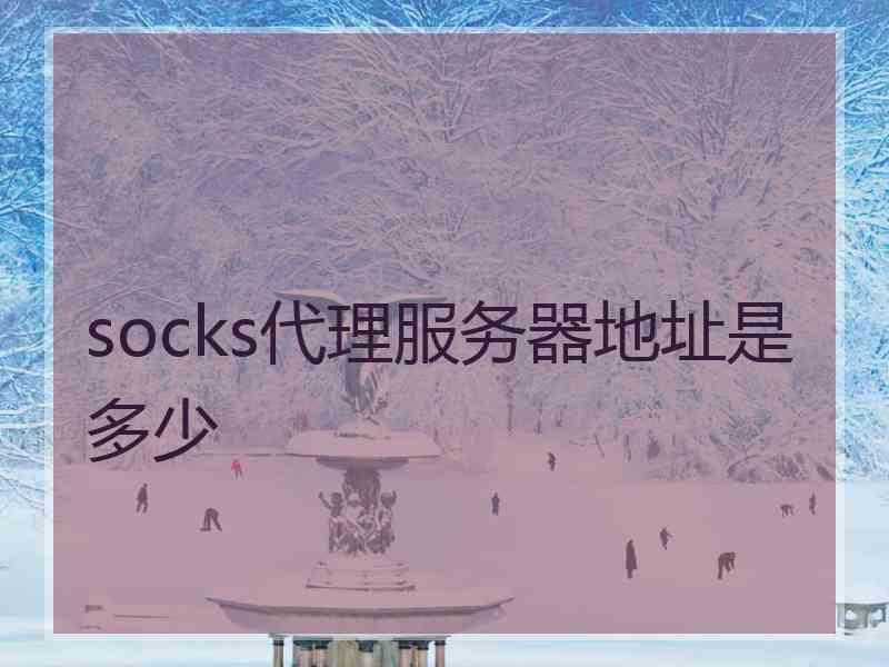 socks代理服务器地址是多少