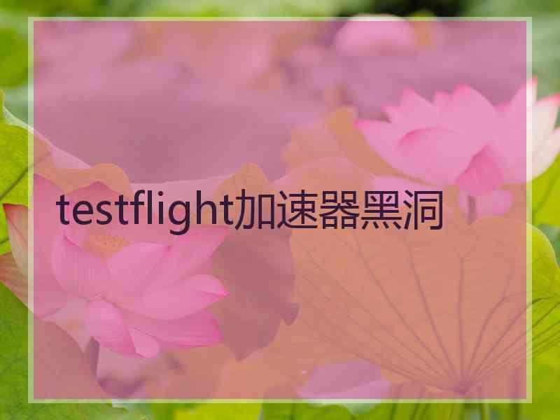 testflight加速器黑洞