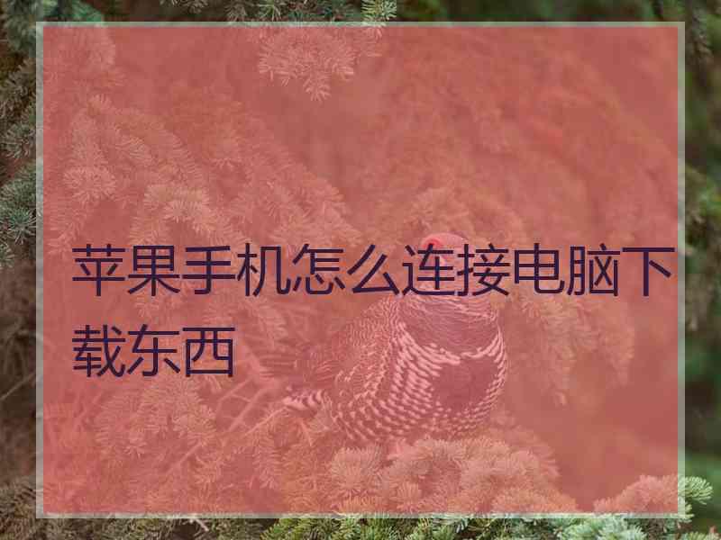 苹果手机怎么连接电脑下载东西