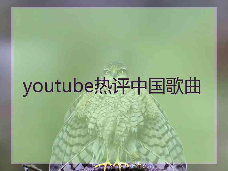 youtube热评中国歌曲