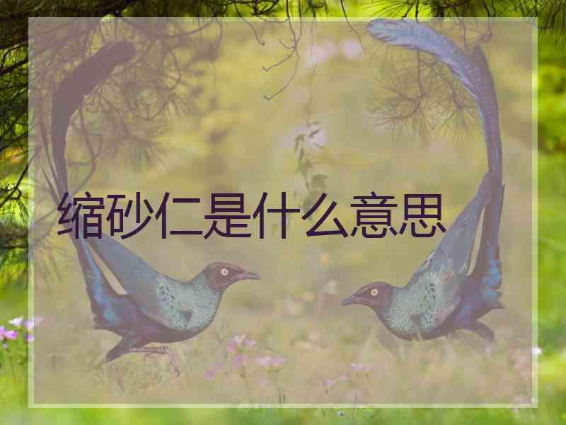 缩砂仁是什么意思