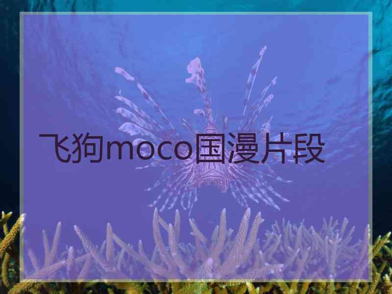 飞狗moco国漫片段