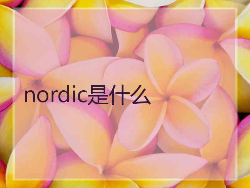 nordic是什么