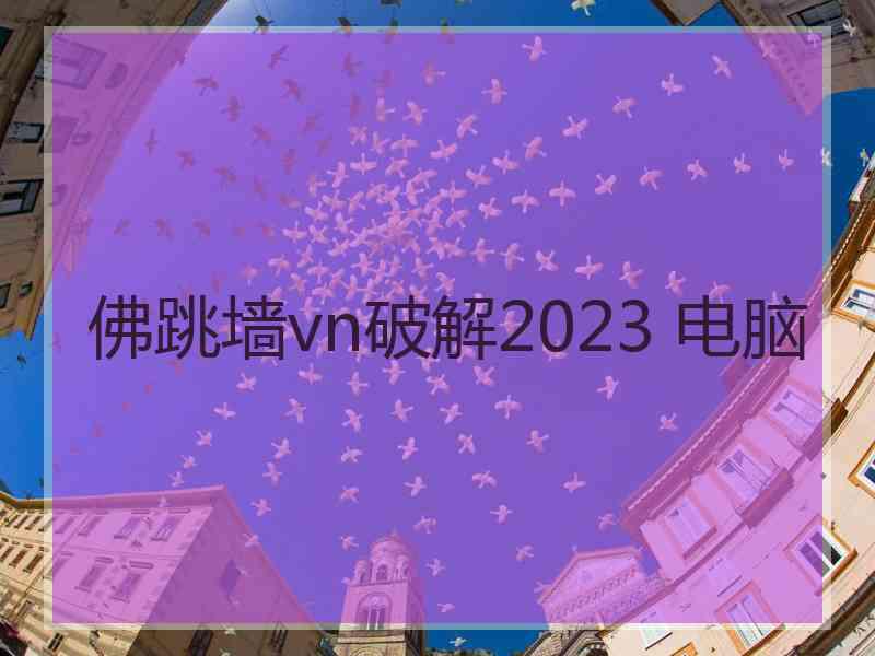 佛跳墙vn破解2023 电脑