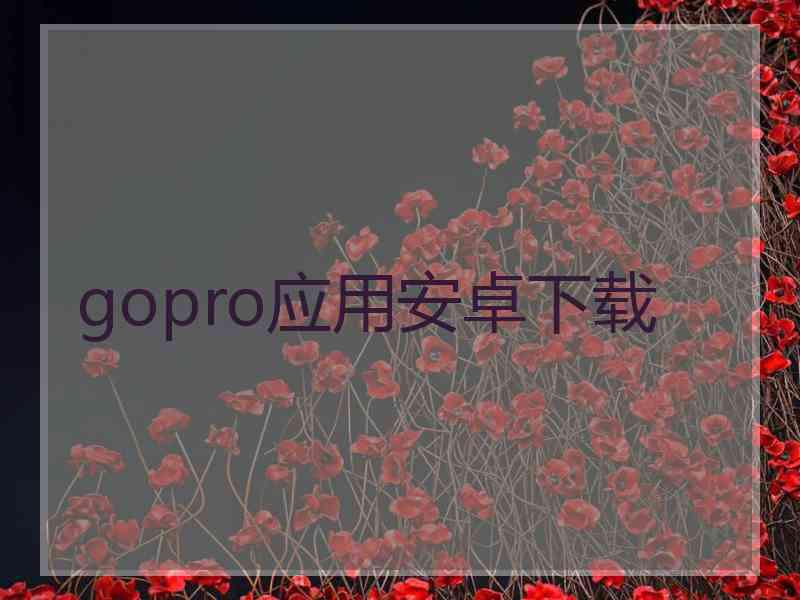 gopro应用安卓下载