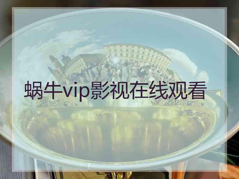 蜗牛vip影视在线观看