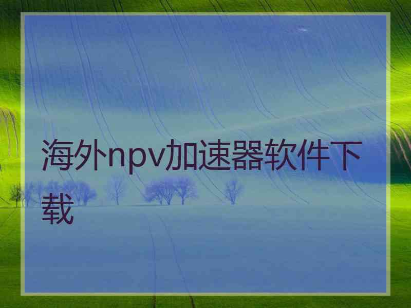 海外npv加速器软件下载