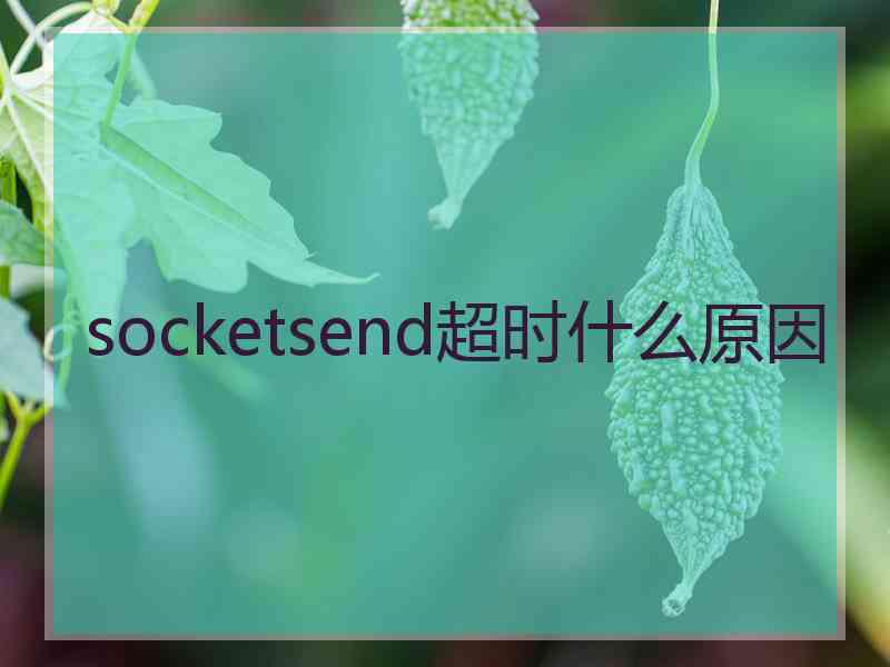 socketsend超时什么原因