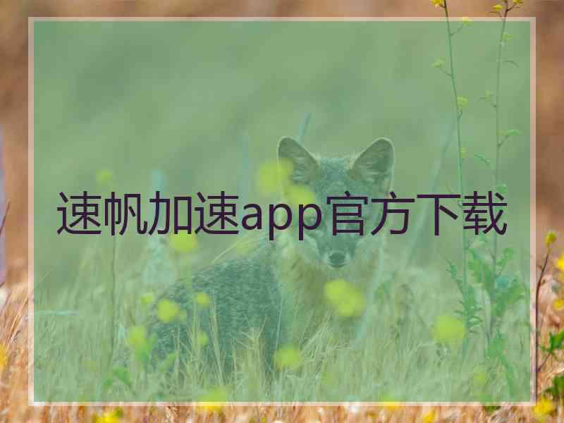 速帆加速app官方下载