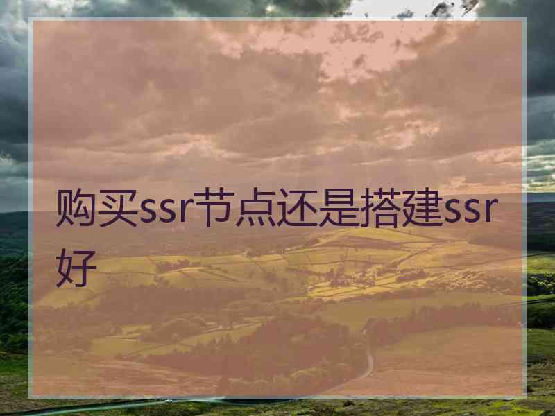 购买ssr节点还是搭建ssr好