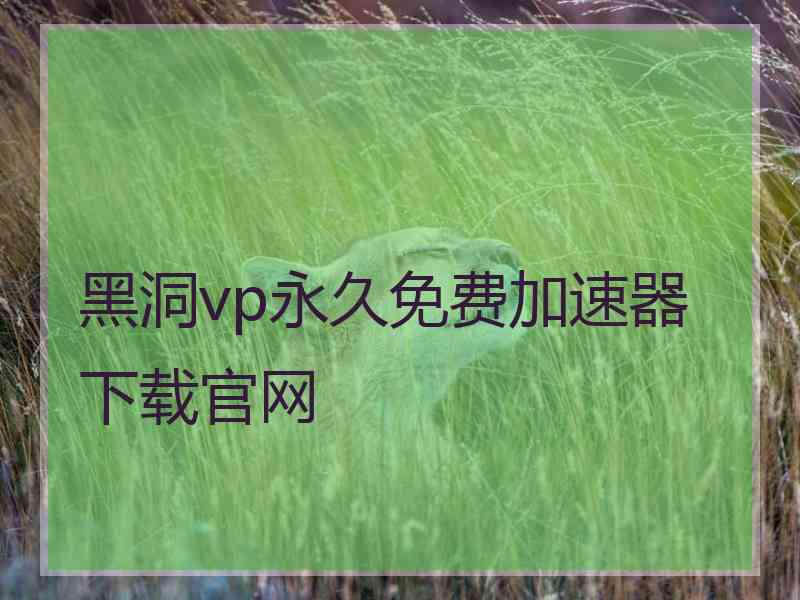 黑洞vp永久免费加速器下载官网