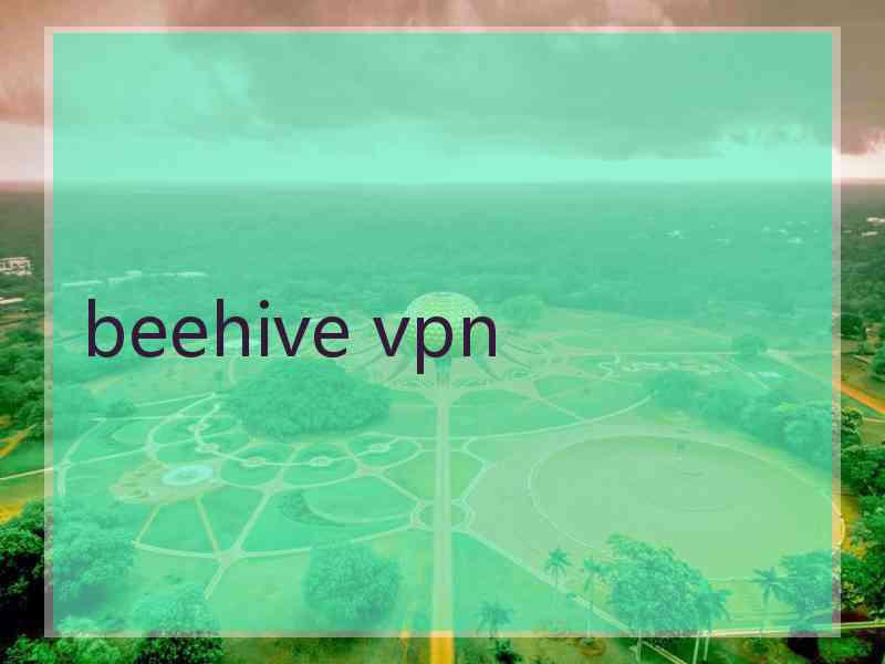 beehive vpn