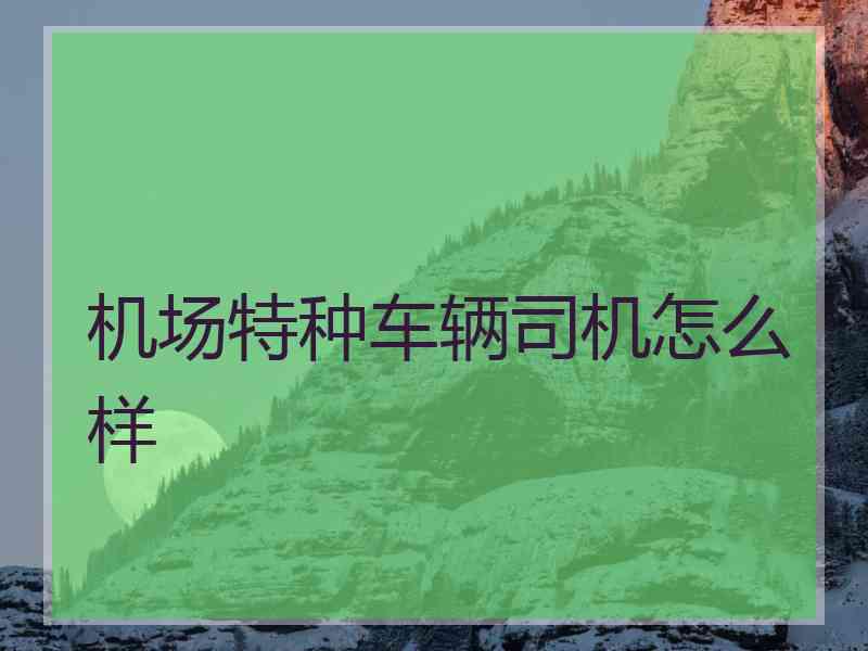 机场特种车辆司机怎么样