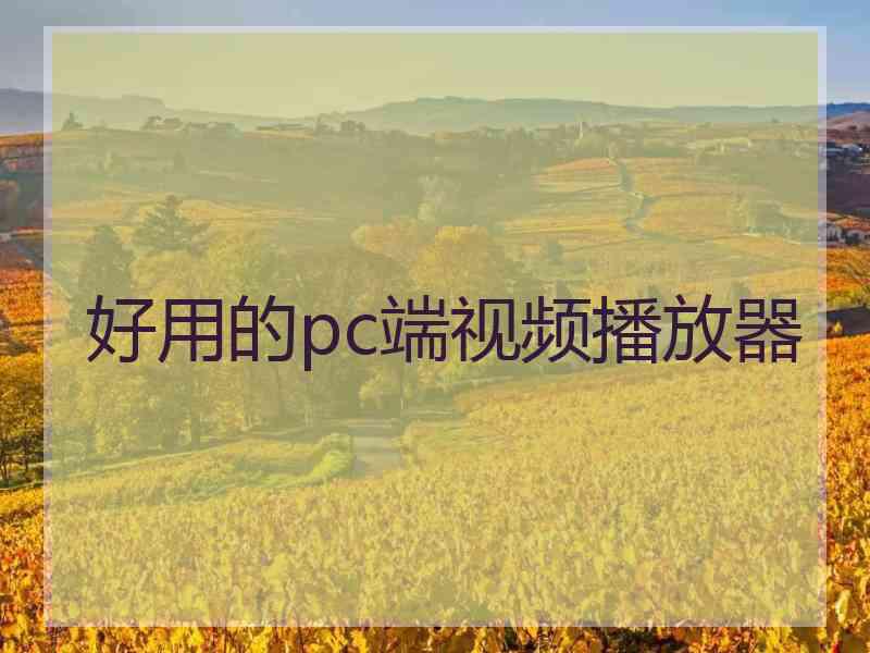 好用的pc端视频播放器