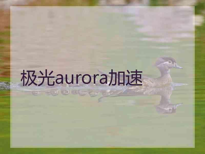 极光aurora加速