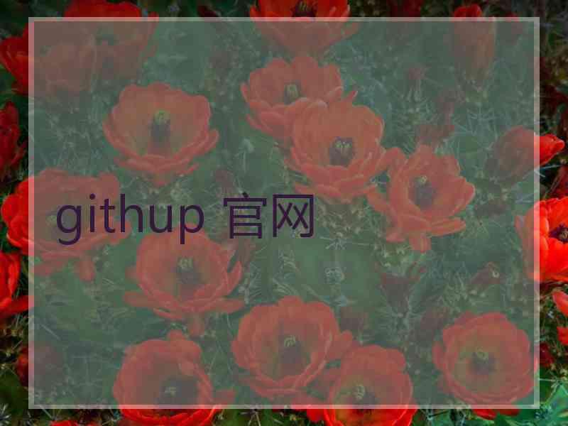 githup 官网