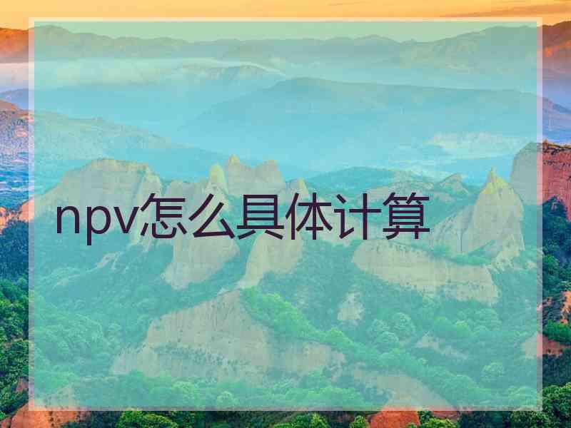 npv怎么具体计算