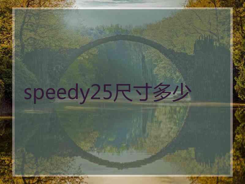 speedy25尺寸多少