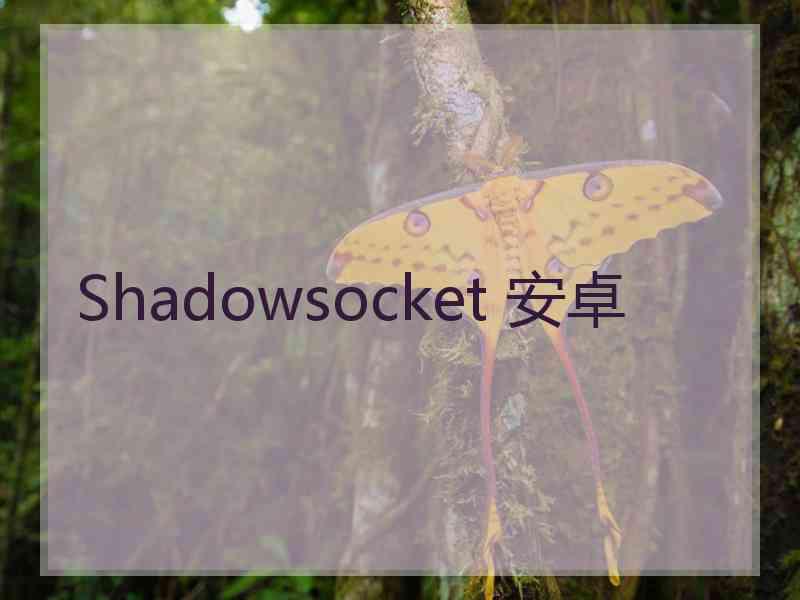 Shadowsocket 安卓