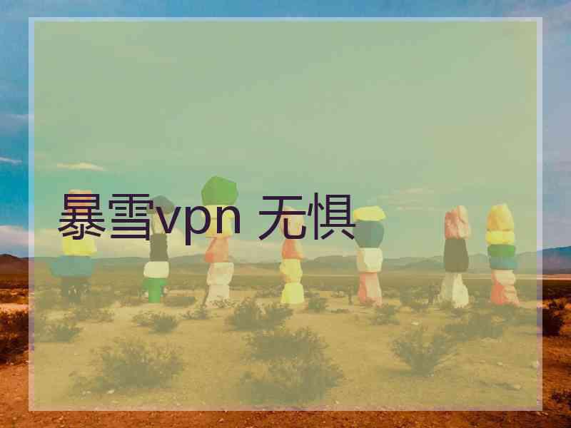 暴雪vpn 无惧