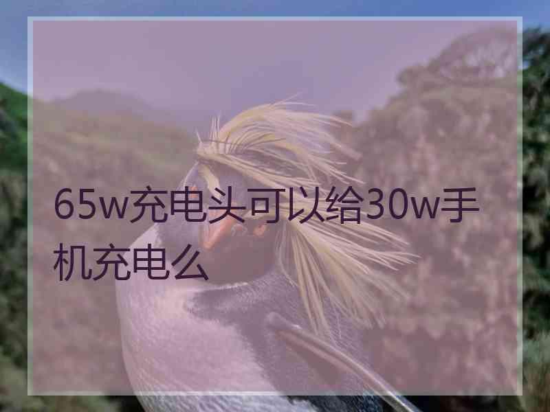 65w充电头可以给30w手机充电么