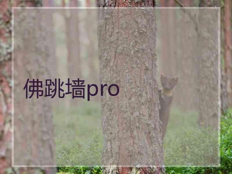 佛跳墙pro