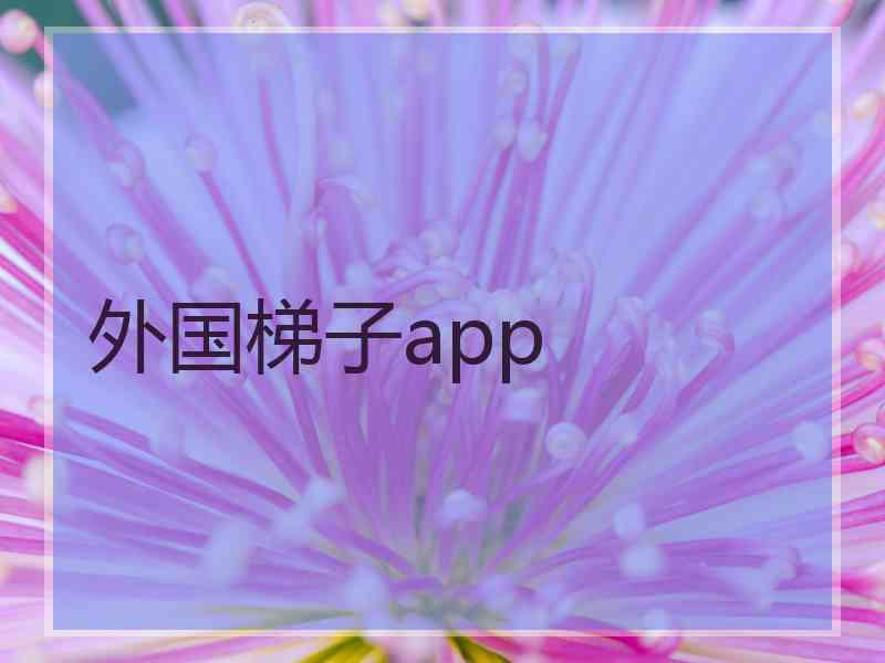 外国梯子app