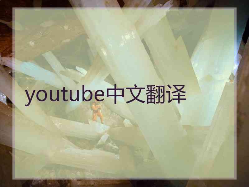 youtube中文翻译