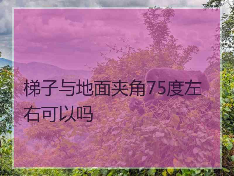 梯子与地面夹角75度左右可以吗