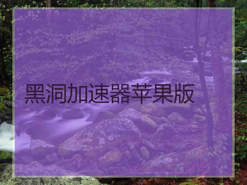 黑洞加速器苹果版