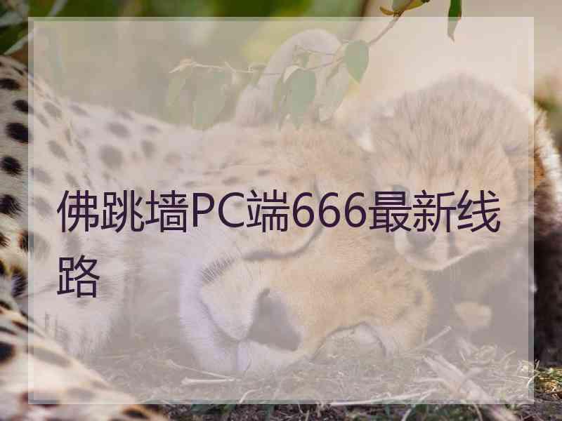 佛跳墙PC端666最新线路