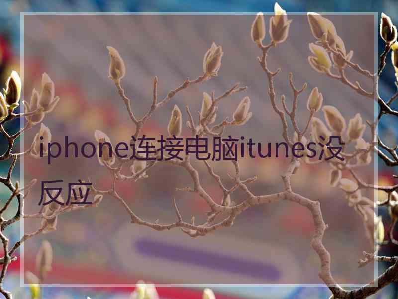 iphone连接电脑itunes没反应