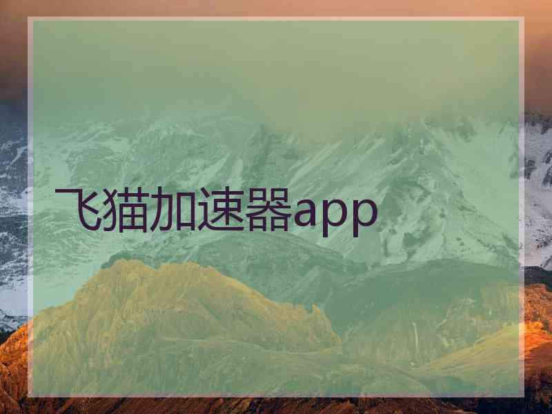 飞猫加速器app