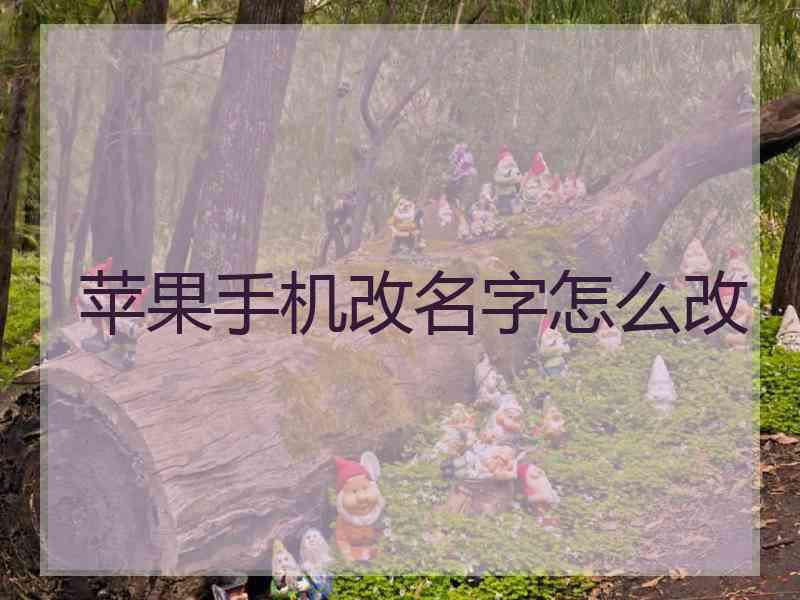 苹果手机改名字怎么改