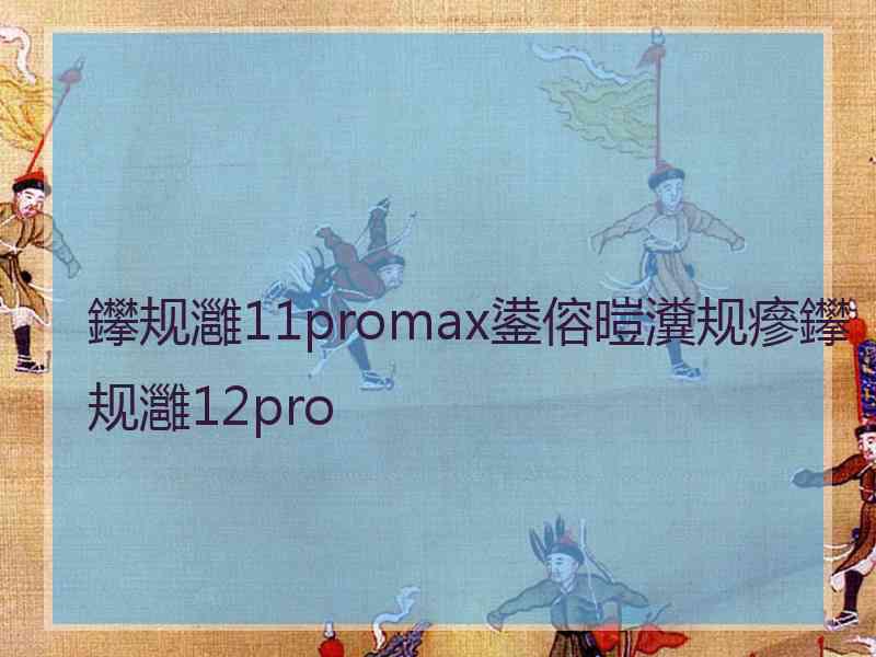 鑻规灉11promax鍙傛暟瀵规瘮鑻规灉12pro