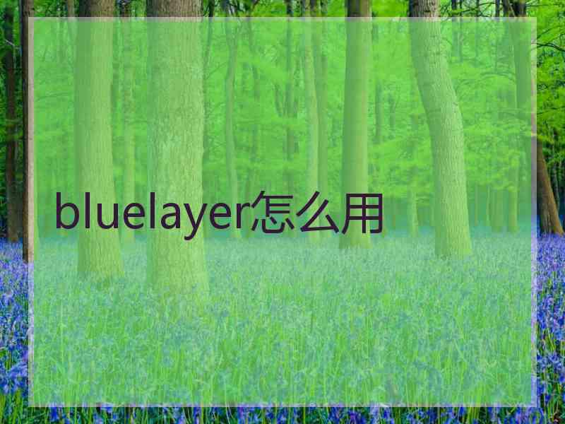 bluelayer怎么用