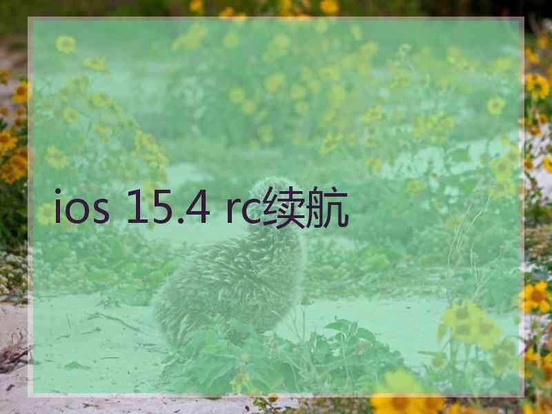 ios 15.4 rc续航