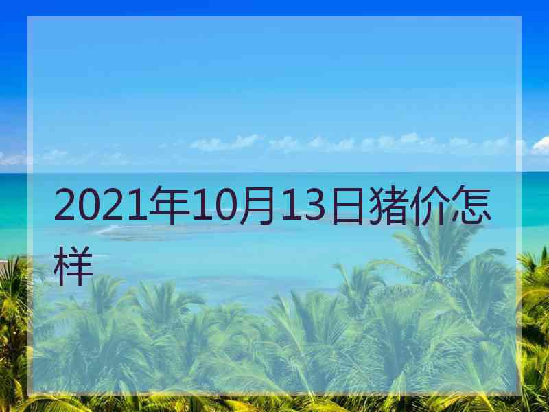 2021年10月13日猪价怎样