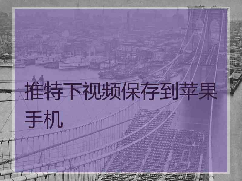 推特下视频保存到苹果手机