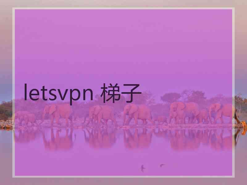 letsvpn 梯子