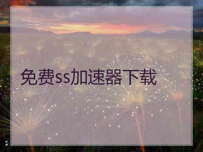 免费ss加速器下载