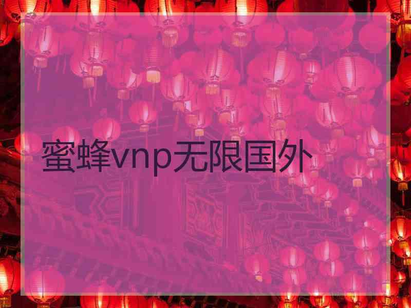 蜜蜂vnp无限国外