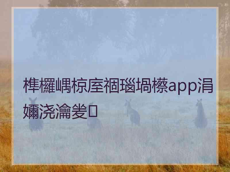 榫欏嵎椋庢祻瑙堝櫒app涓嬭浇瀹夎