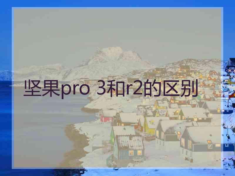 坚果pro 3和r2的区别