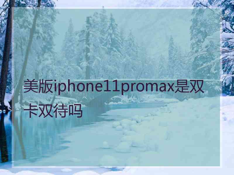 美版iphone11promax是双卡双待吗